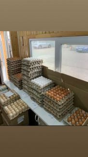 Яйцо Куриное, Фермерские яйца без маркировки  Армавир