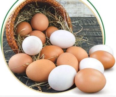 Домашнее яицо  Армавир