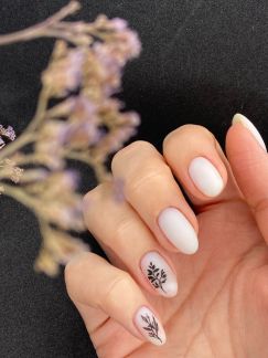 Ноготки  Армавир