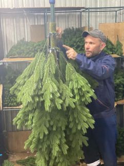 Сборщик елок  - купить на сайте объявлений Севастополь онлайн