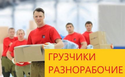 Грузчики/Переезды/Вывоз мусора/Грузоперевозки  - купить на сайте объявлений Симферополь онлайн