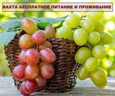 Рабочие в цех  - купить на сайте объявлений Тамань онлайн