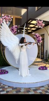 Скрипка  Армавир