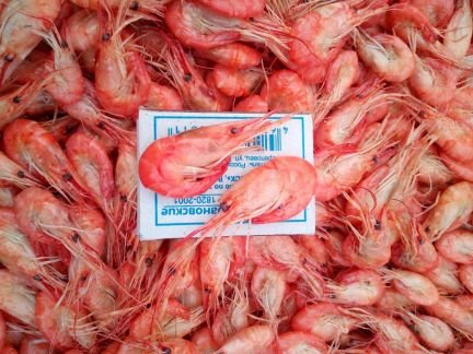 Креветка  Армавир