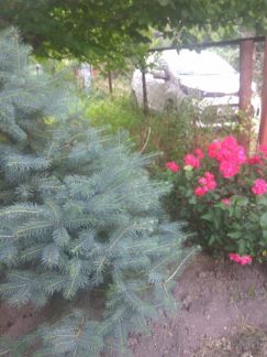 Разное  Армавир