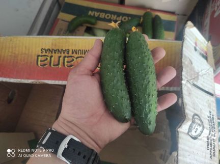 Продукты  Армавир