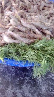 Креветки  Армавир