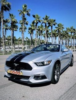 Прокат кабриолета Ford Mustang  Армавир