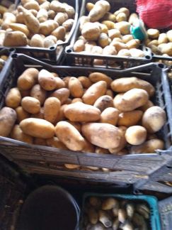 Домашний  Армавир