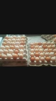 Продукты  - купить на сайте объявлений Кущевская онлайн