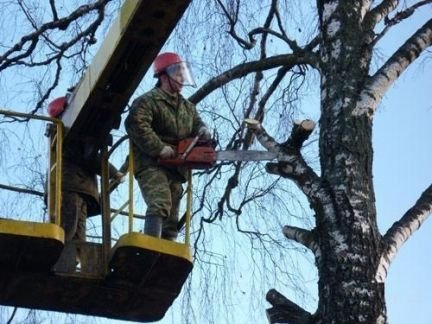 Спил Деревьев любой сложности  - купить на сайте объявлений Армавир онлайн