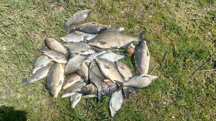 Рыбалка  Армавир