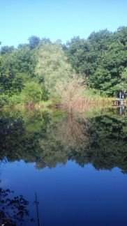 Рыбалка  Армавир