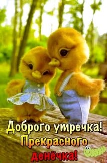 Уборка жилых помещений  - купить на сайте объявлений Армавир онлайн