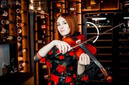 Скрипка на любой праздник  Армавир